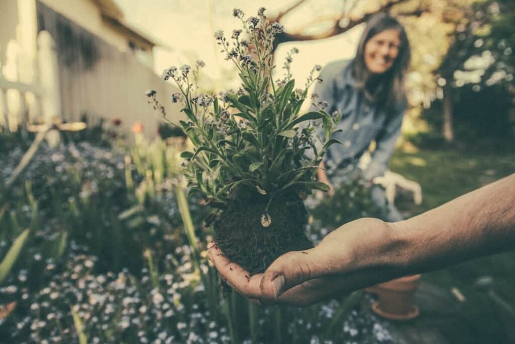 discover the beauty and tranquility of your outdoor space with our expert gardening tips, design ideas, and plant care advice. transform your garden into a lush paradise and enjoy the benefits of nature right at home.