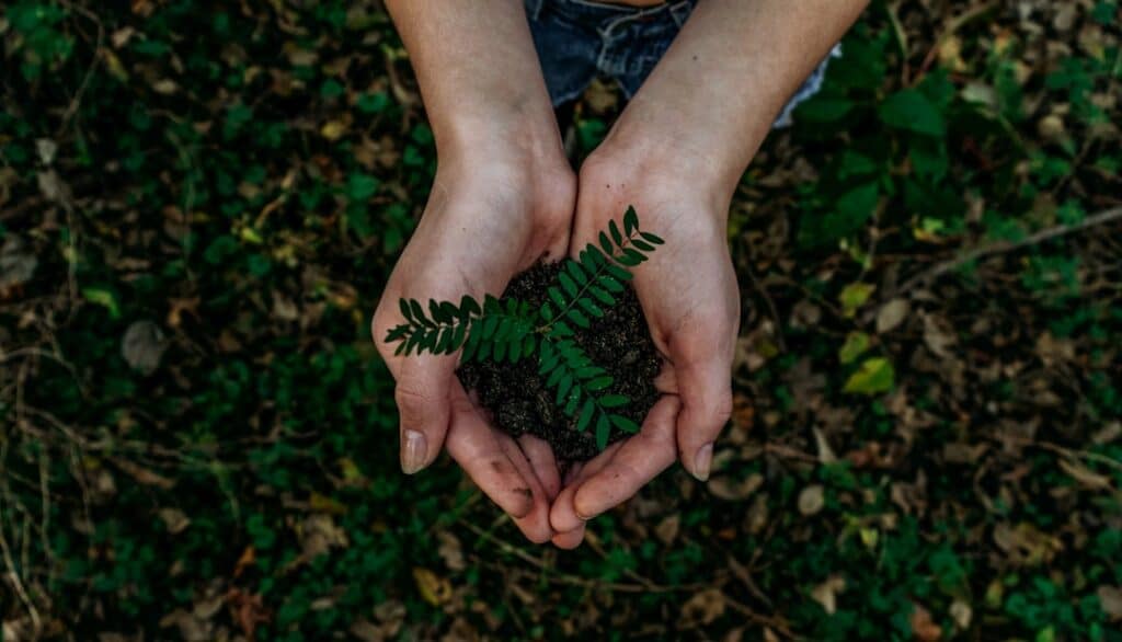 discover the benefits of sustainable insulation for your home. learn how eco-friendly materials can enhance energy efficiency, reduce your carbon footprint, and provide optimal comfort while contributing to a greener planet.
