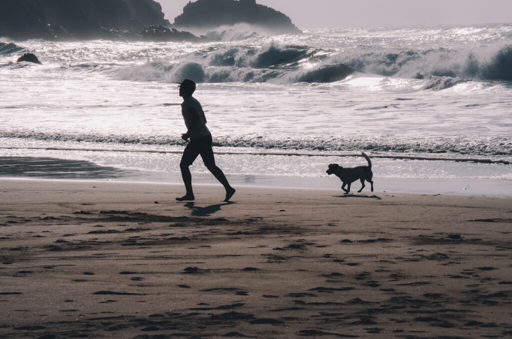 explore the essentials of pet travel with our comprehensive guide. discover tips for safe and comfortable journeys with your furry friends, including packing advice, pet-friendly accommodations, and travel regulations to ensure a stress-free adventure.